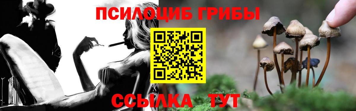 Псилоцибиновые грибы Magic Shrooms  Псилоцибиновые грибы Psilocybe  Вход с VPN  Кисловодск 